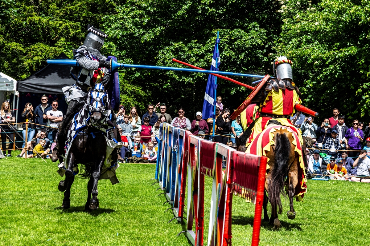 The Contest - Jenny Tucker